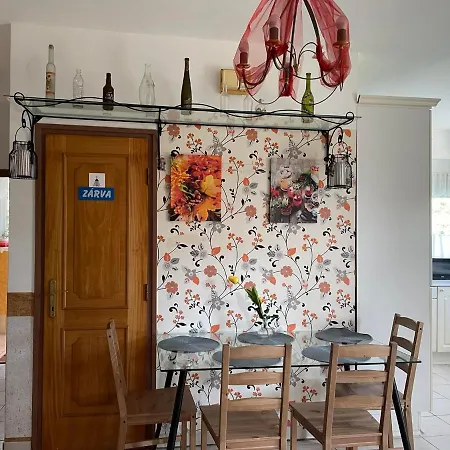 Guest house Andrea Wellness Garden Cserszegtomaj