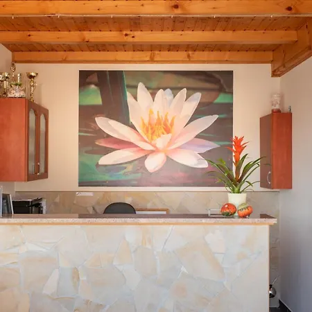 Andrea Wellness Garden Guest house Cserszegtomaj