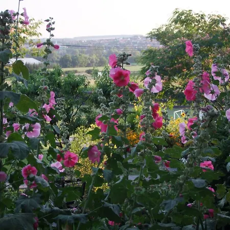 Andrea Wellness Garden Guest house Cserszegtomaj