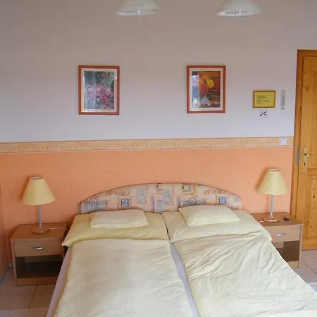 Andrea Wellness Garden Guest house 3*